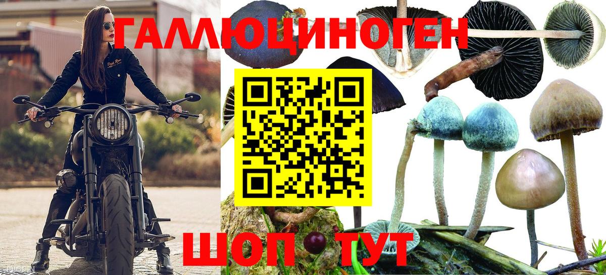 Псилоцибиновые грибы Psilocybine cubensis  Вход с VPN  Орск  Галлюциногенные грибы Cubensis 